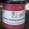 Miód z czarną porzeczką